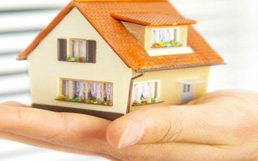 kalispell MT property search